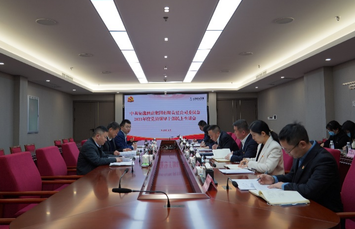 尊龙凯时集团党委书记、董事长任丁出席安逸酒店集团2022年度党员领导干部民主生活会